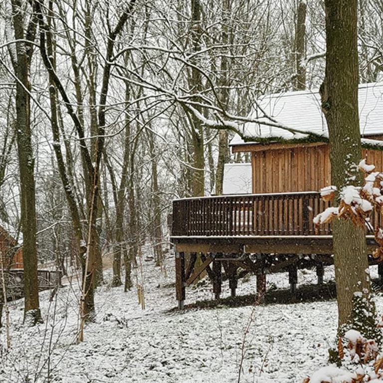 5 Snowy Hives VPDD