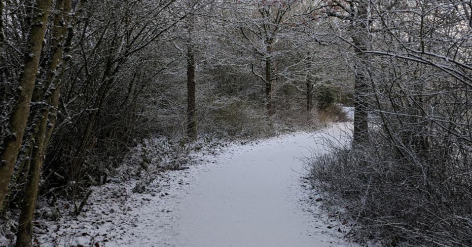 Walk 3