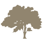 RO Logo Transparent