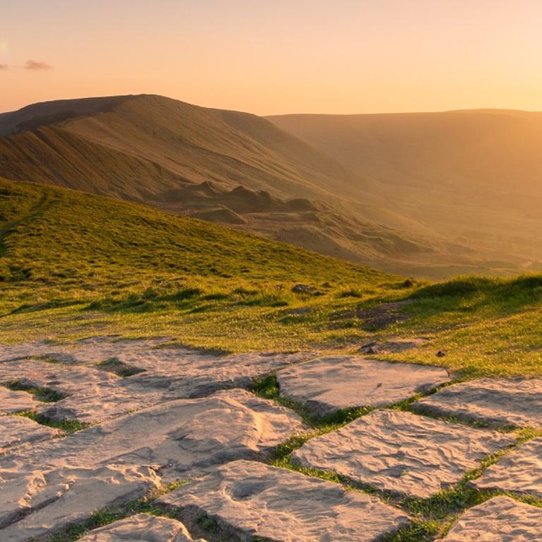 MAM TOR