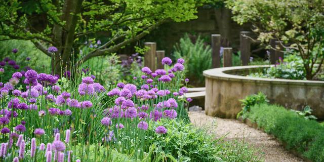 Summer Garden