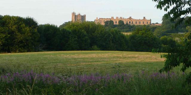 Castle Carr Vale Flash 630554410