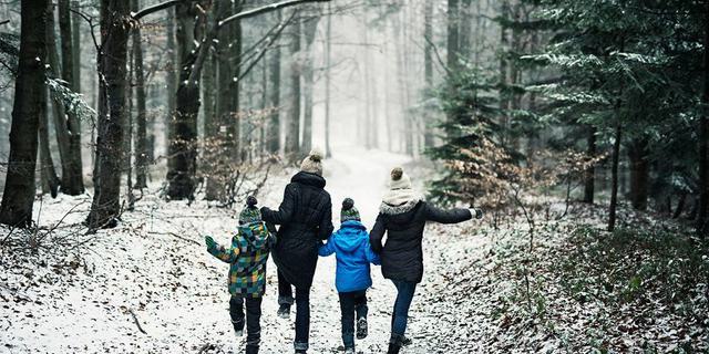 Christmas Trail at Tittesworth Water