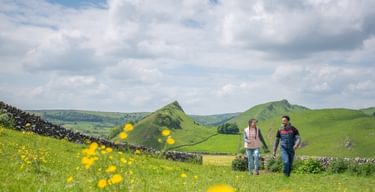 Chrome Hill