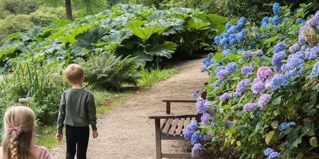 Gardens