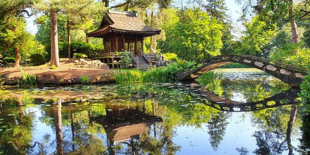 Japanese Garden 2