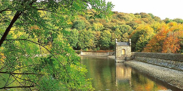 Linacre Shell Linacre Reservoirs | Visit Peak District & Derbyshire