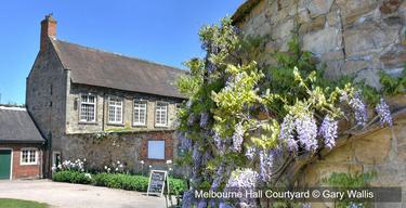 Melbourne Hall courtyard 1966425027