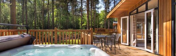 Pet friendly places to stay blog