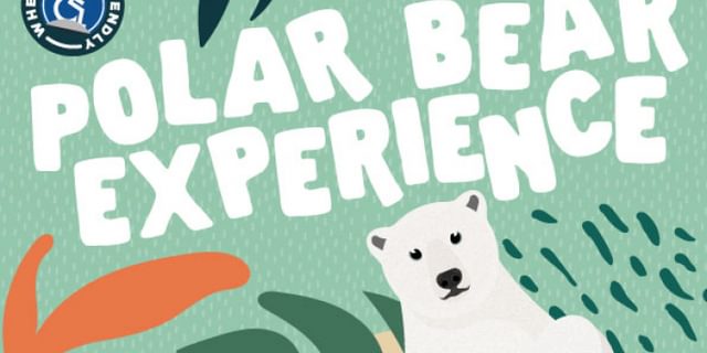 Polar Bear