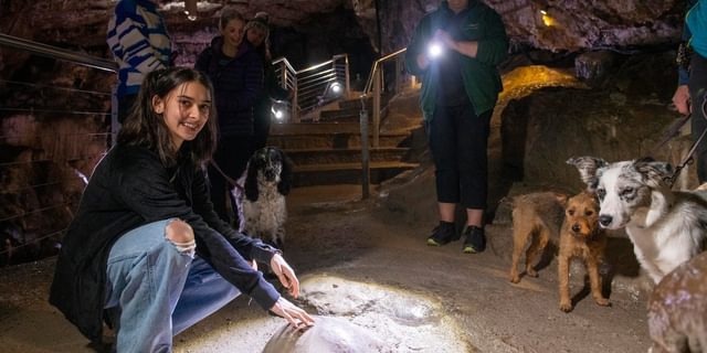 Pooles Cavern Tour