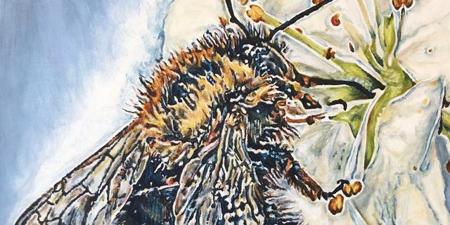 Sarah Perkins Exhibition Mar 25