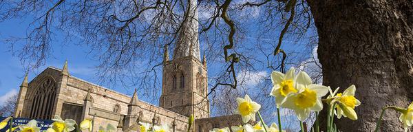 Spire and Daffodils 1867598520
