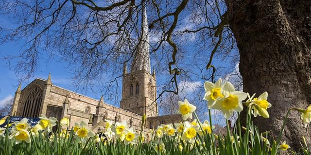 Spire and Daffodils 1867598520