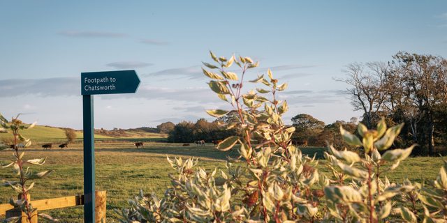 The Hide Signpost & View