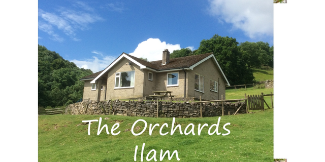 The Orchards 2024 house new