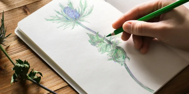 Botanical drawing 1920x920