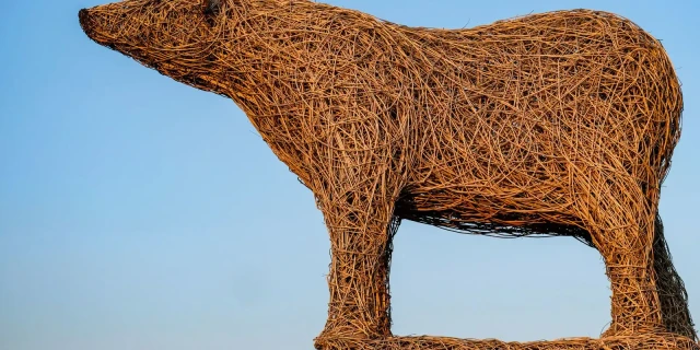 Polar bear willow weaving