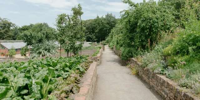Production garden 1920x920