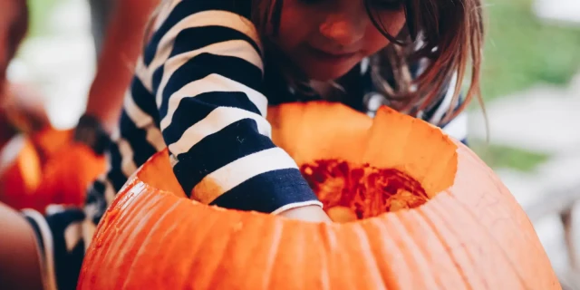Pumpkin 1920x920