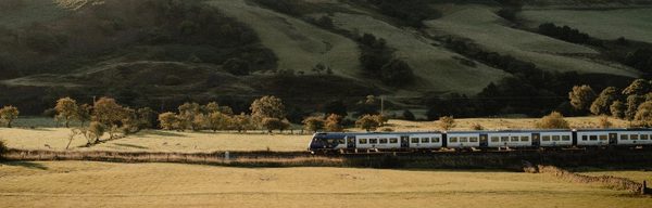 Train resize