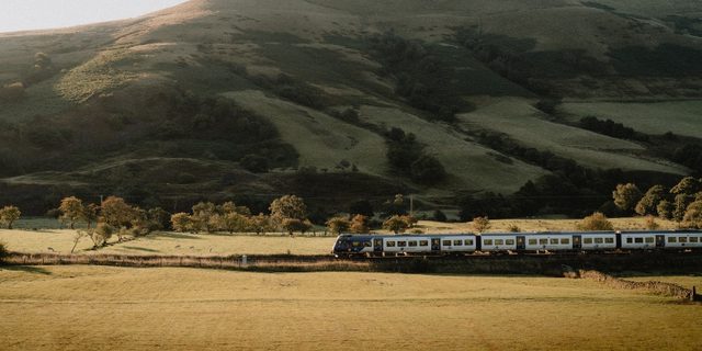 Train resize