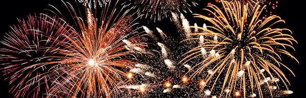 Wildhive s stock 223255012 fireworks crop