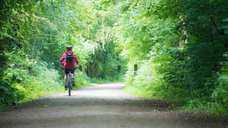 Ashbourne Tissington Trail