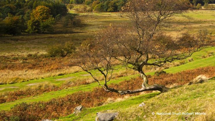 Autumn on the Longshaw Estate credit National Trust Robert Morris 2