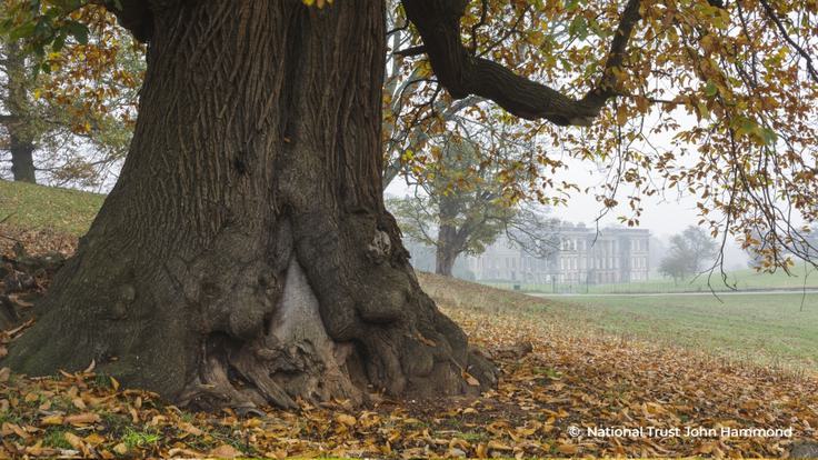 Calke Abbey