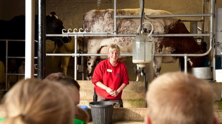 Chatsworth Farmyard 1new