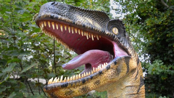 Dino Trail