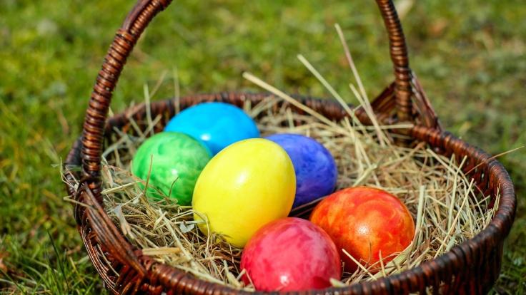 VPDD Easter Egg Basket
