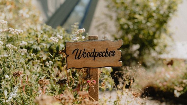 VPDD Blog Scaldersitch