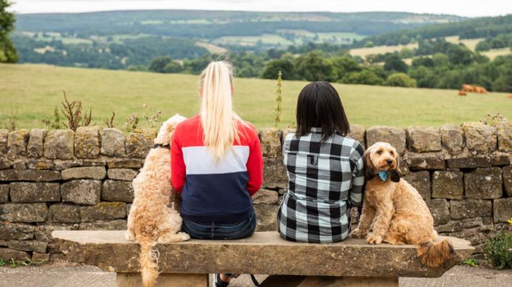 Farm shop view 2019