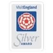 VE Silver Award