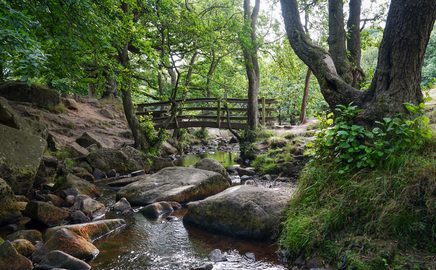 Peaklass padley gorge walk 2022 DSC00012